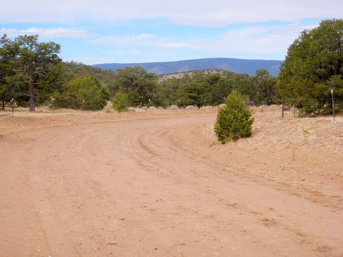 Sandy Road (GDMBR, Gila NF, NM).